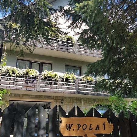 Pokoje Goscinne U Gochy Ustrzyki Dolne Buitenkant foto