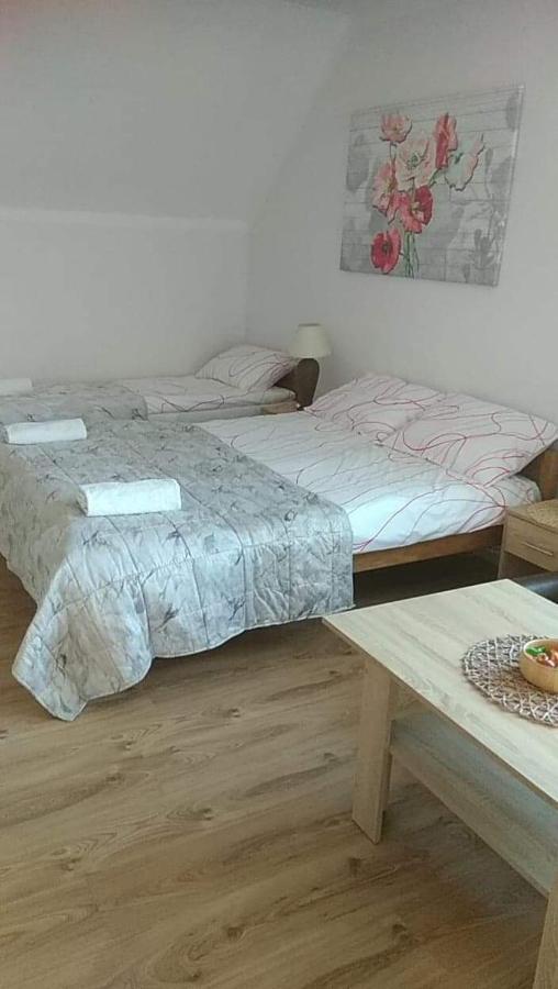 Pokoje Goscinne U Gochy Ustrzyki Dolne Buitenkant foto