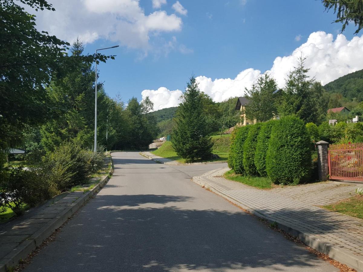 Pokoje Goscinne U Gochy Ustrzyki Dolne Buitenkant foto